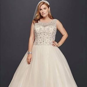 Plus Size Wedding Dress-Ivory